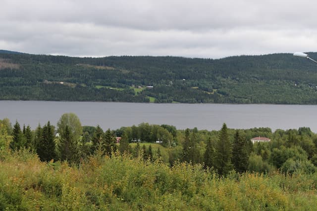 Utcheckning när det gäller dygnshyra